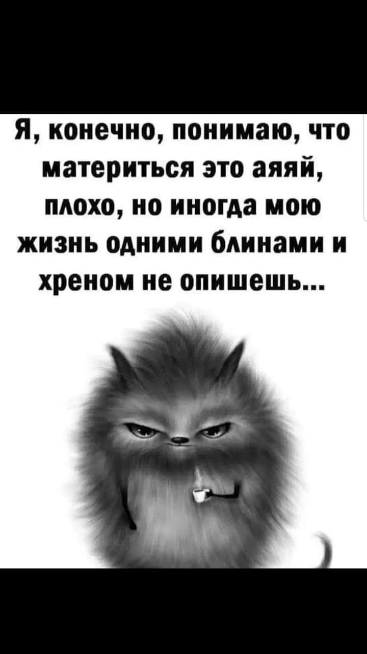 я конечно понимаю что материться это аяяй плохо но иногда мою жизнь одними блинами и хреном не опишешь