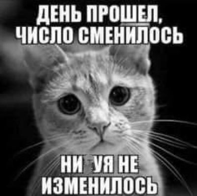 ЛЕНЬ ПРПЩШ