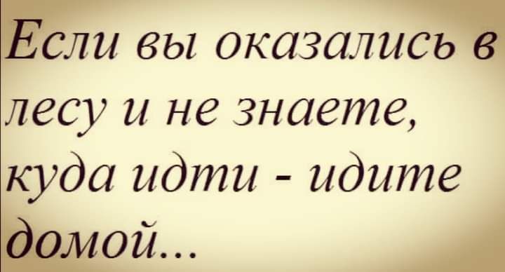 сли вы оказались лесу и не знаете куда идти идите ой А