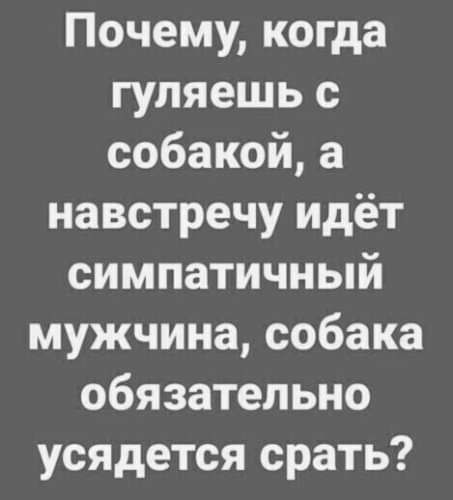 Почему когда гуляешь с собакой а навстречу идёт симпатичный мужчина собака обязательно усядется срать
