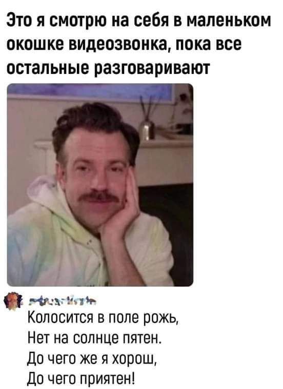 Это я смотрю на себя в маленьком окошке видеозвонка пока все остальные разговаривают госкапи Копосится в поле рожь Нет на солнце пятен до чего же я хорош До чего приятен