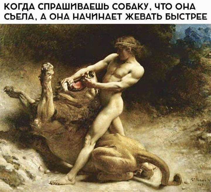 КОГДА СПРАШИВАЕШЬ СОБАКУ ЧТО ОНА СЬЕПА А ОНА НАЧИНАЕТ ЖЕВАТЬ БЫСТРЕЕ _