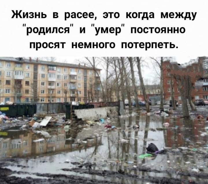 Жизнь в расее это когда между родился и умер постоянно просят немного потерпеть