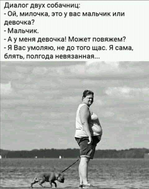 диалог двух собачниц Ой милочка это у вас мальчик или девочка Мальчик А у меня девочка Может поаяжем Я Вас умоляю не до того щас Я сама блять полгода невязаннаж