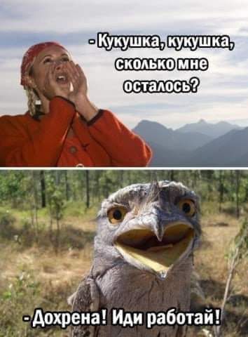 дохрена Иди работай ч