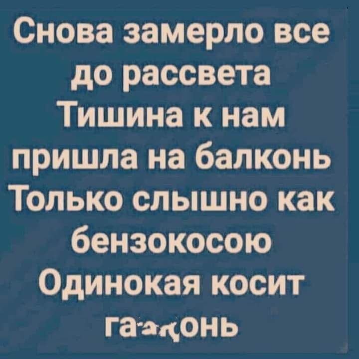 Снова замерло все до рассвета Тишина к нам пришла на бапконь Только слышно как бензокосою Одинокая косит га адонь