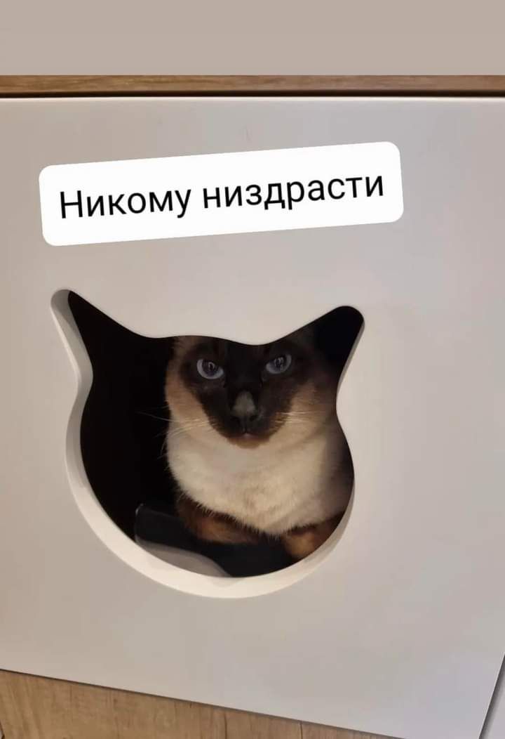 Никому низдраСТИ