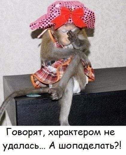 Говорят характером не удалась А шопаделать