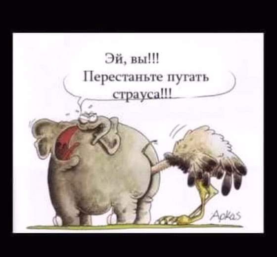 мы и _ ПМ 1