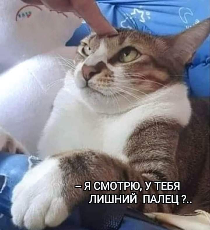 я смотрю У ТЕБЯ лишний ПАЛЕЦ