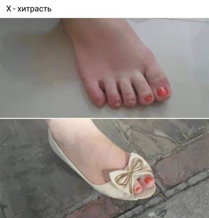 Х хитрасть