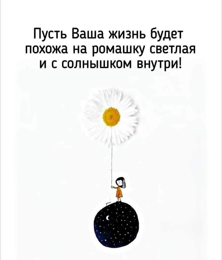 Пусть ваша жизнь будет похожа на ромашку светлая и с солнышком внутри картинки доброе утро