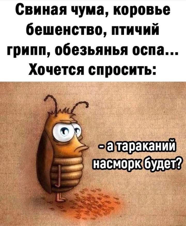 Свиная чума коровье бешенство птичий грипп обезьяиья оспа Хочется спросить аа