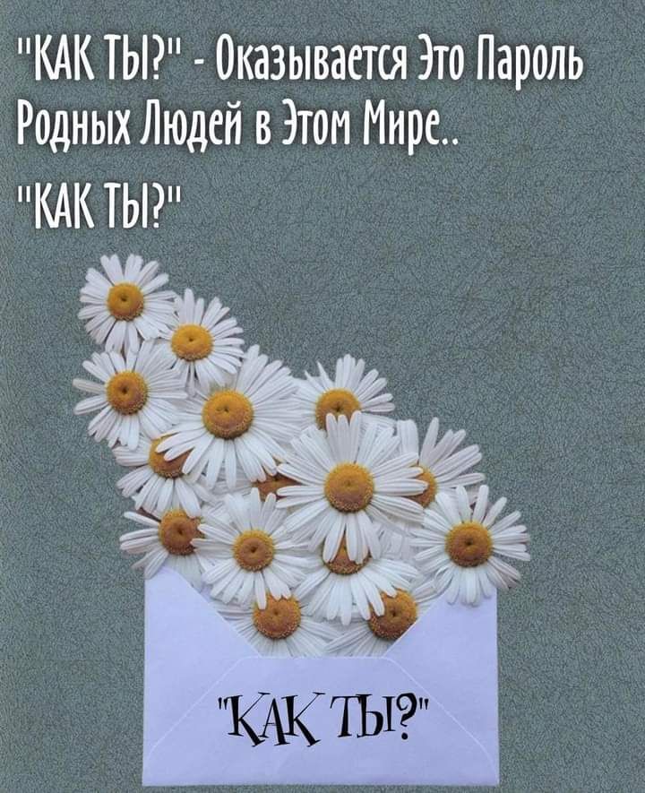 КАКТЫ Оказывается Это Пароль Родных Людей вЭтоп Мире КАК ТЫ