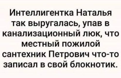 Интеллигентка Наталья так выругалась упав в канализационный люк что местный пожилой сантехник Петрович что то записал в свой блокнотик