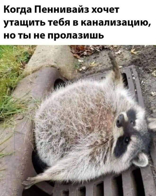 Когда Пеннивайз хочет утащить тебя в канализацию НО ТЫ не ПРОПаЗИШЬ _