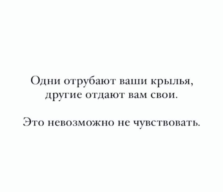 Одни отрубают паши крылья другие отдают нам свои Это невозможно нс чувствовать