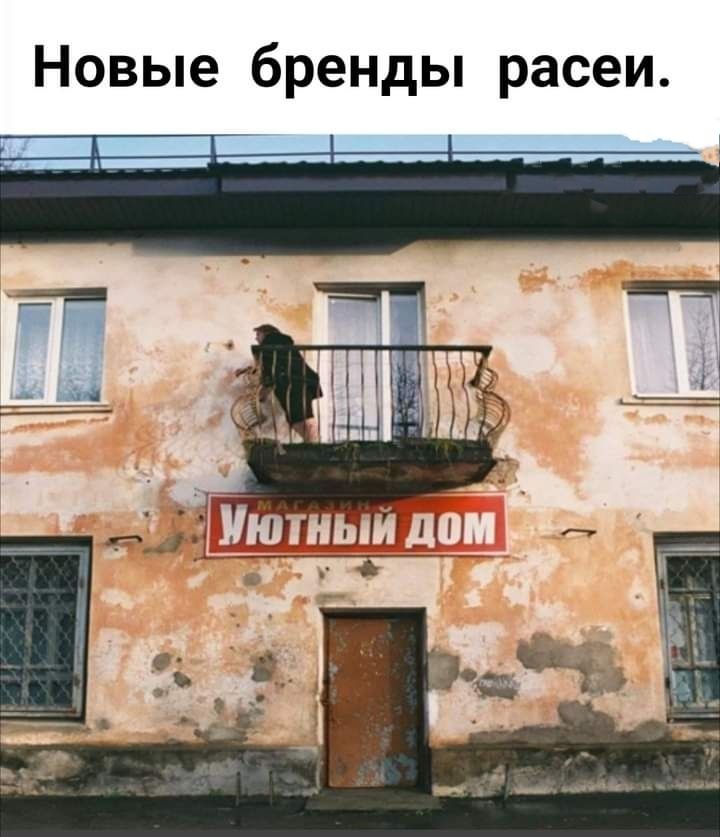 Новые бренды расеи