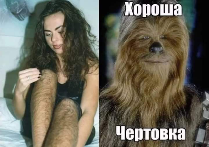 ппоіпц 1 П ЧВПЮВКЗ