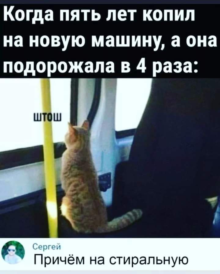Когда пять лет копип на новую машину а она подорожала в 4 раза Причём на стиральную
