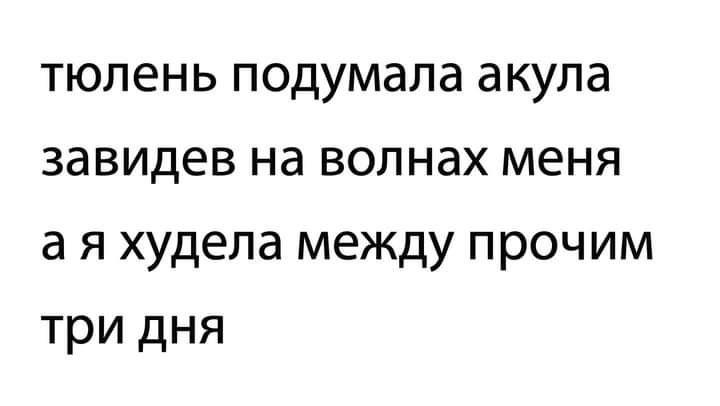 тюлень подумала акула завидев на волнах меня а я худела между прочим три дня