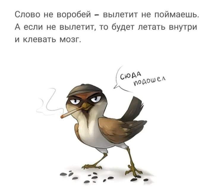 Слово не воробей вылетит не поймаешь А если не вылетит то будет летать внутри И КЛЕВЗТЬ МОЗГ 0010809