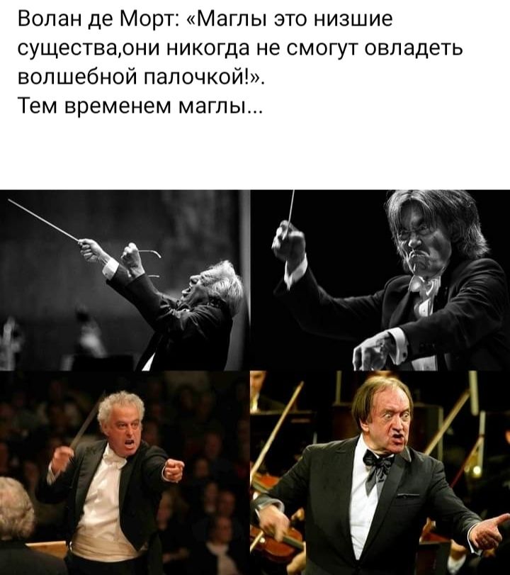 Волен де Морт Маглы это низшие СУЩеСТЕаОНИ НИКОГДЭ не СМОГУТ ОВПЗДЕТЬ волшебной палочкой Тем временем магпы