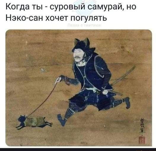 Когда ты суровый самурай но Нэко сан хочет погулять