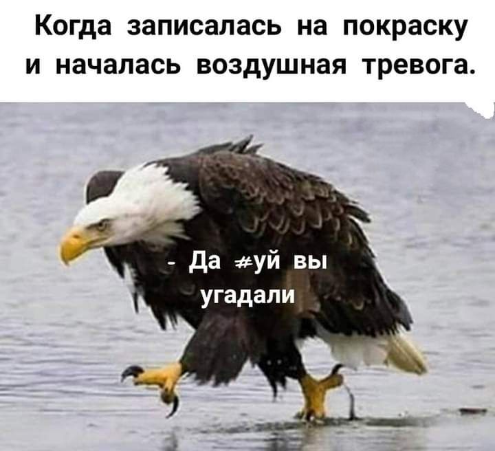 КОГДЗ записалась на покраску И началась воздушная тревога да уй вы угадали