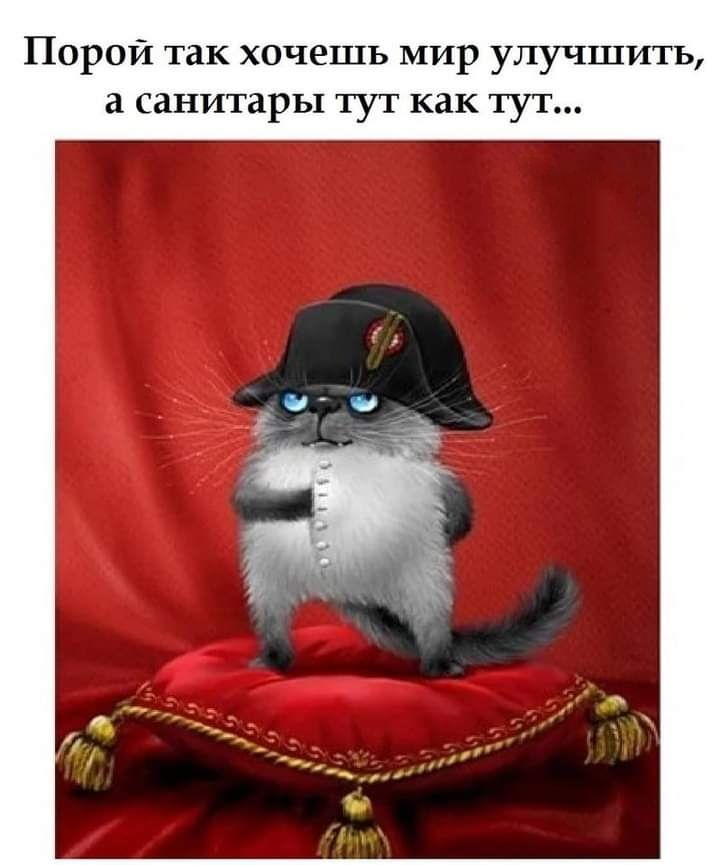 й так хочешь мир улучшить канитары тут как ТУТ