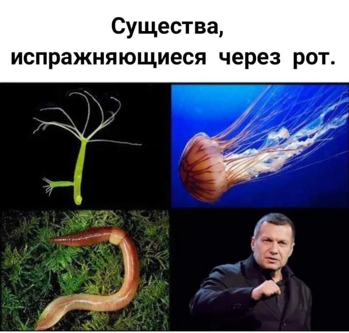 Существа испражняющиеся через рот