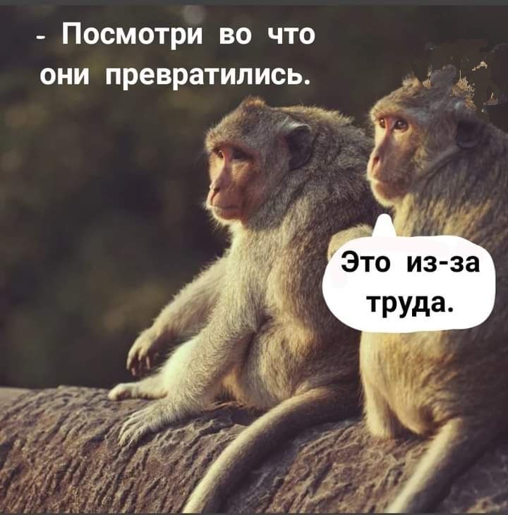 _ Посмотри во что они превратились