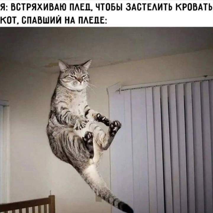 ВСТРЯХИВАЮ ПАЕЦ ТОБЫ ЗАБТЕАИТЬ КРОВАТЬ ПАБШИИ НА ПАЕП