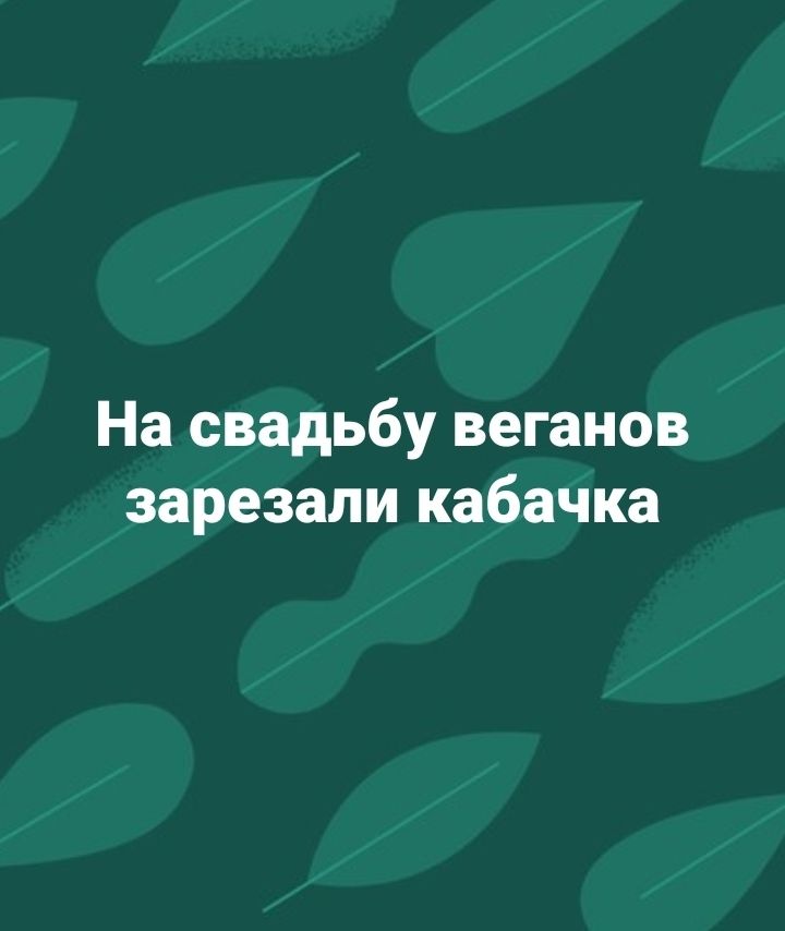 На свадьбу веганов зарезали кабачка