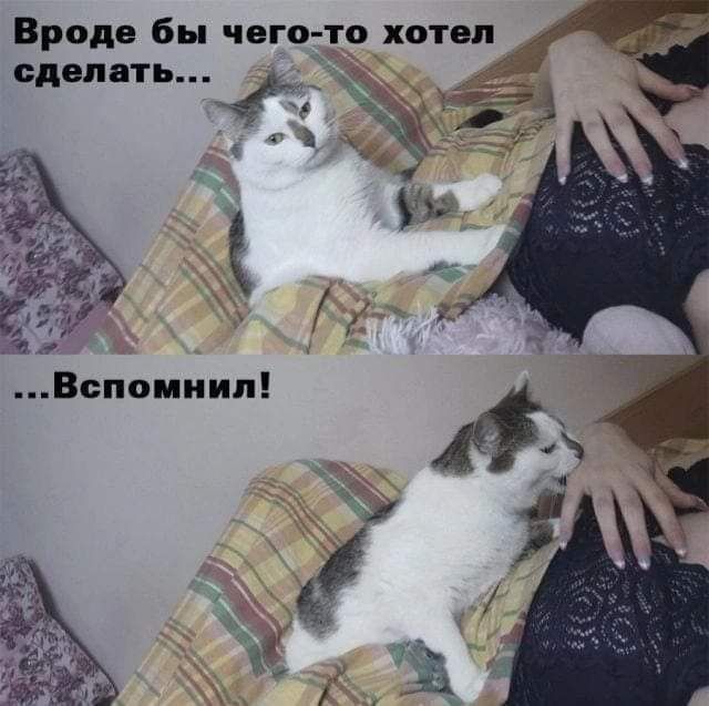 Вроде бы чего то хотел сделать __ _ в ч