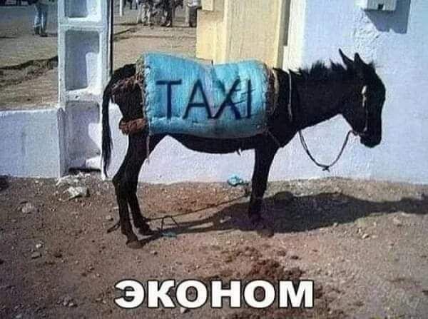 экОном