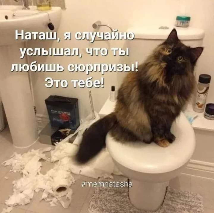 іішзш чту Ту ЧШЬ ЬЩрПрА