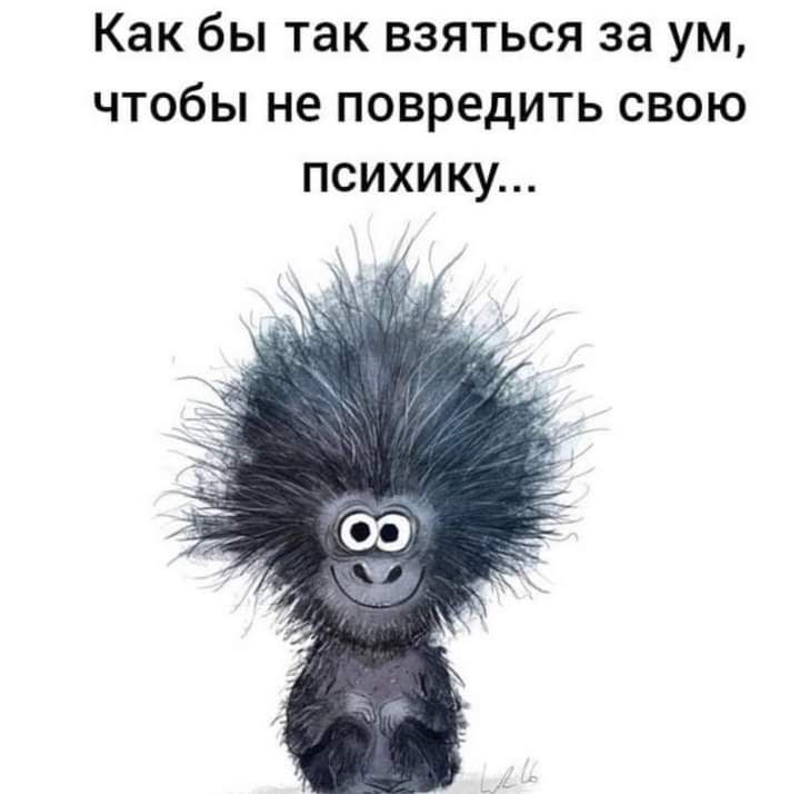 Как бы так взяться за ум чтобы не повредить свою психику