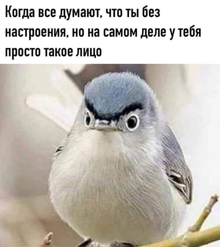 Когда все думают что ты без настроения но на самом деле у тебя просто такое лицо