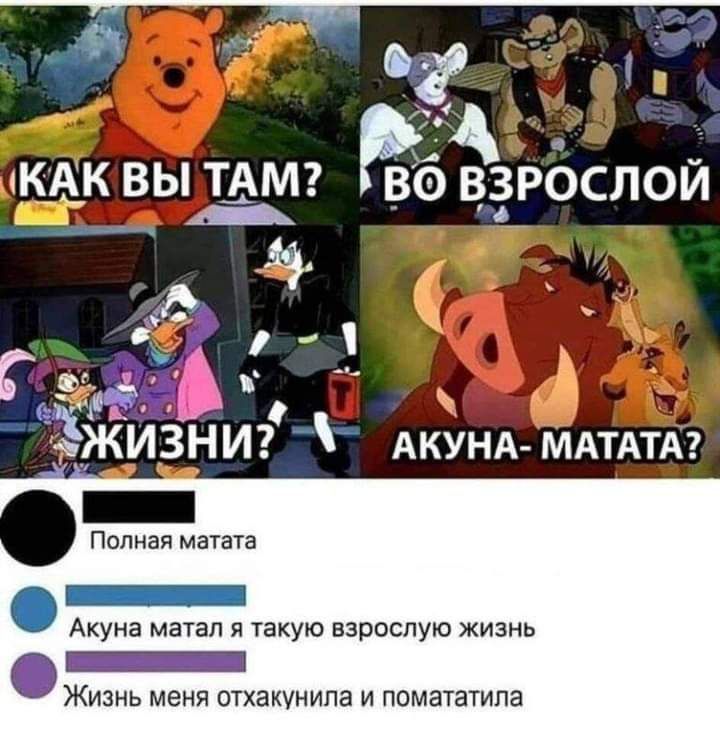 4 Мк вы ТАМ д И АКУНА МАТАТА Полная матата Акуна матап и такую взрослую жизнь _ Жизнь меня отхакунипа и помататипа