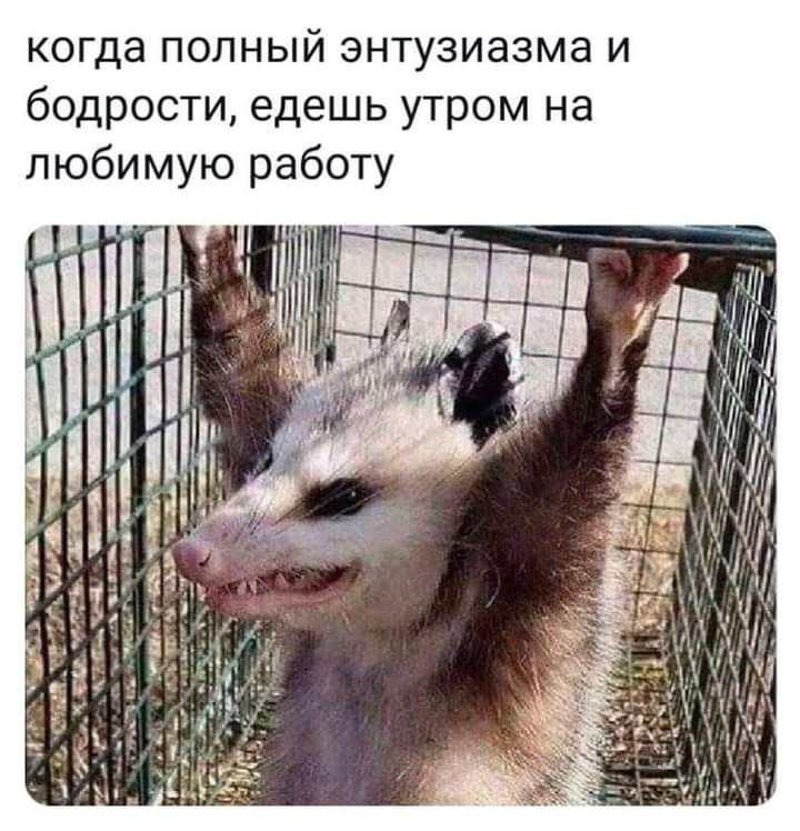 когда полный энтузиазма и бодрости едешь утром на любимую работу