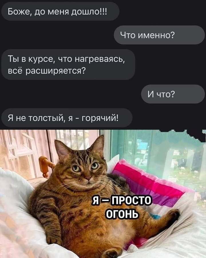 Боже до меня дошло Что именно Ты в курсе что нагреваясь всё расширяется И что Я не толстый я горячий