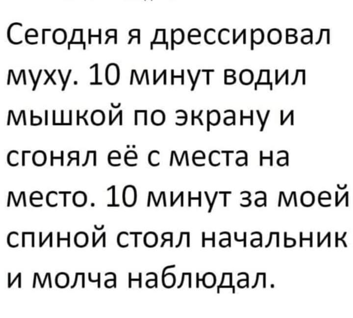 Сегодня я дрессировал муху 10 минут водил мышкой по экрану и сгонял её с места на место 10 минут за моей спиной стоял начальник и молча наблюдал