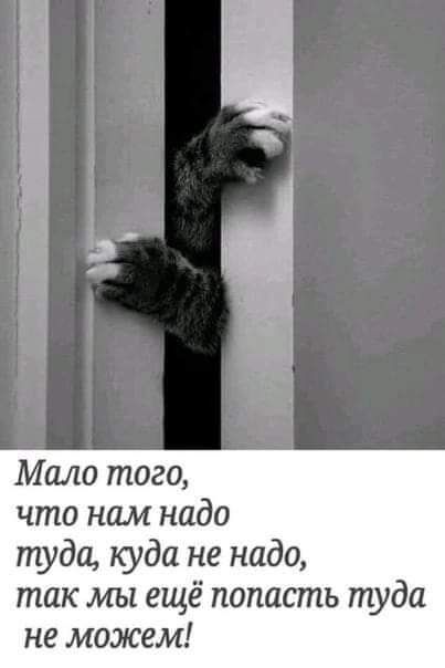 Мало того что нам надо пуда куда не надо так мы ещё попасть туда не можем