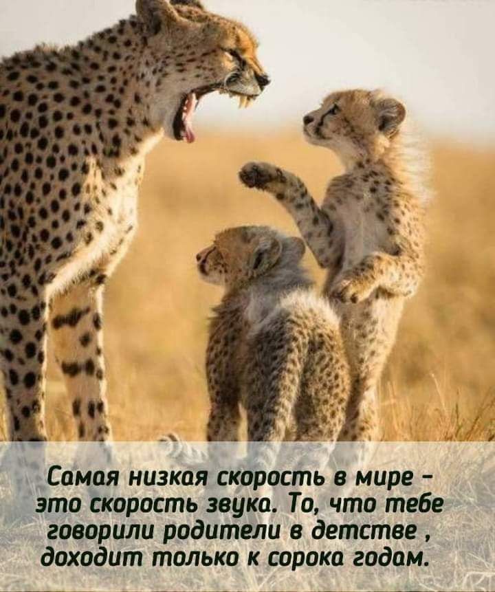 3 Са низкая страсть в мире ща оппь звуко То что тебе вторила ррдипіти детстве доходит толька к порока годам