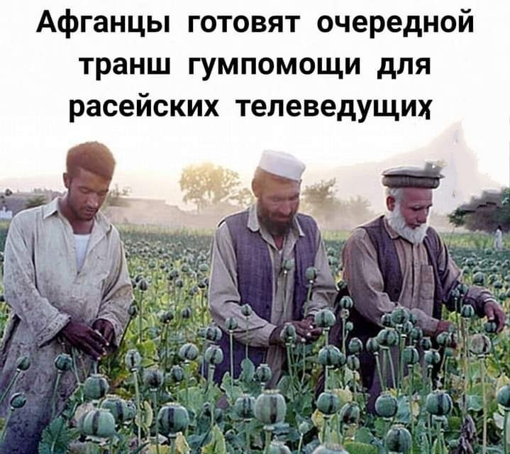 Афганцы готовят очередной транш гумпомощи для расейских телеведущих