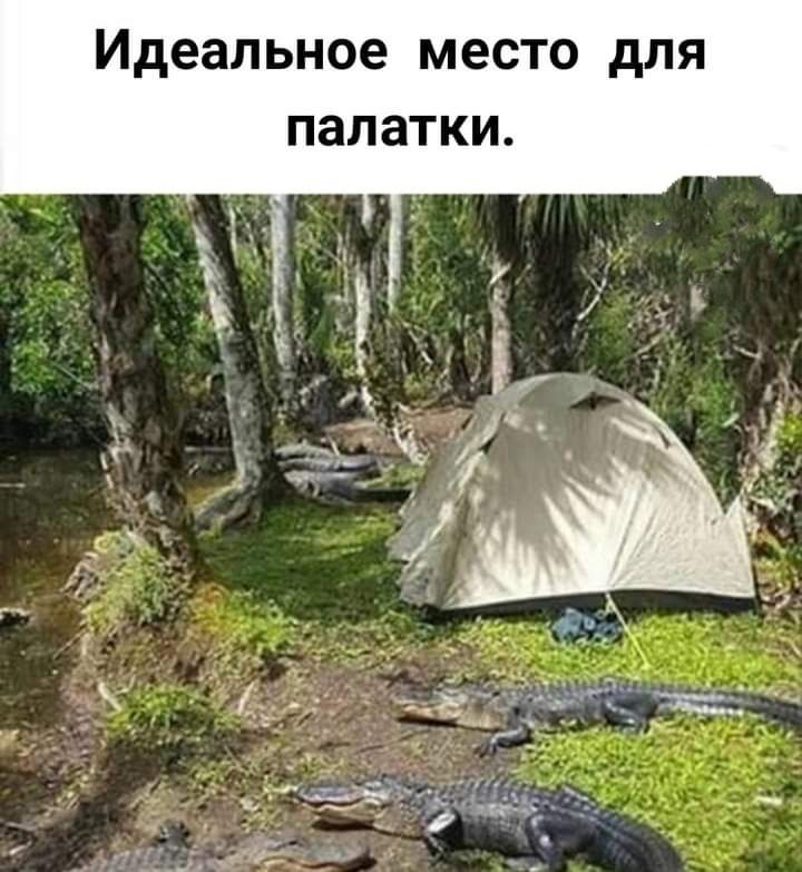 Идеальное место для палатки