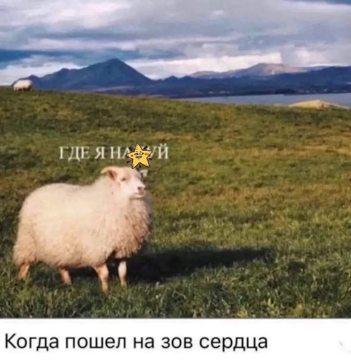 Ког шел на зов сердца