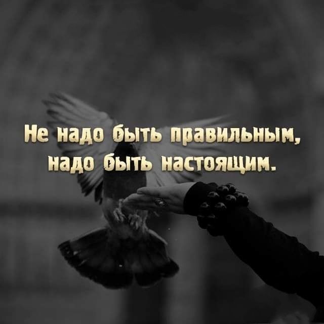 Не 56 тёмным надобыть а_ящин