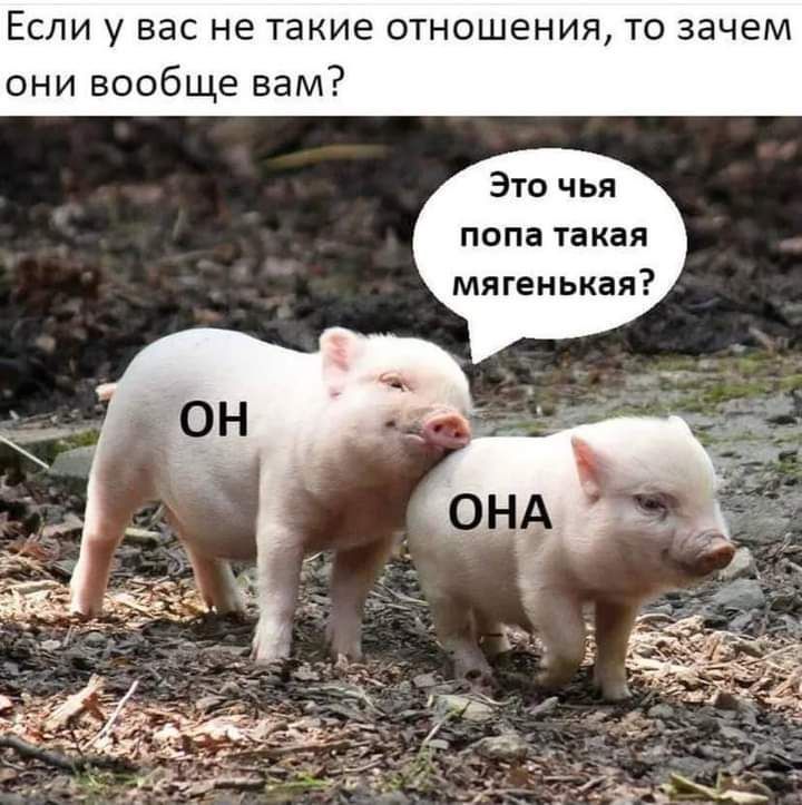 Если у вас не Такие отношения то зачем они вообще вам 310 чья попа такая мягенькая